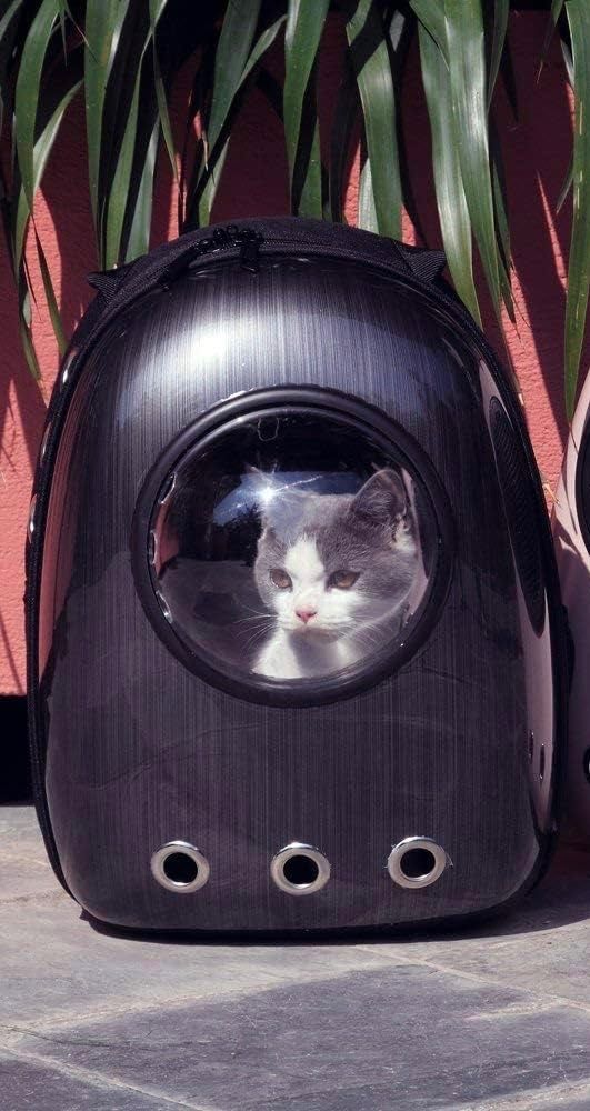 переноска для кота