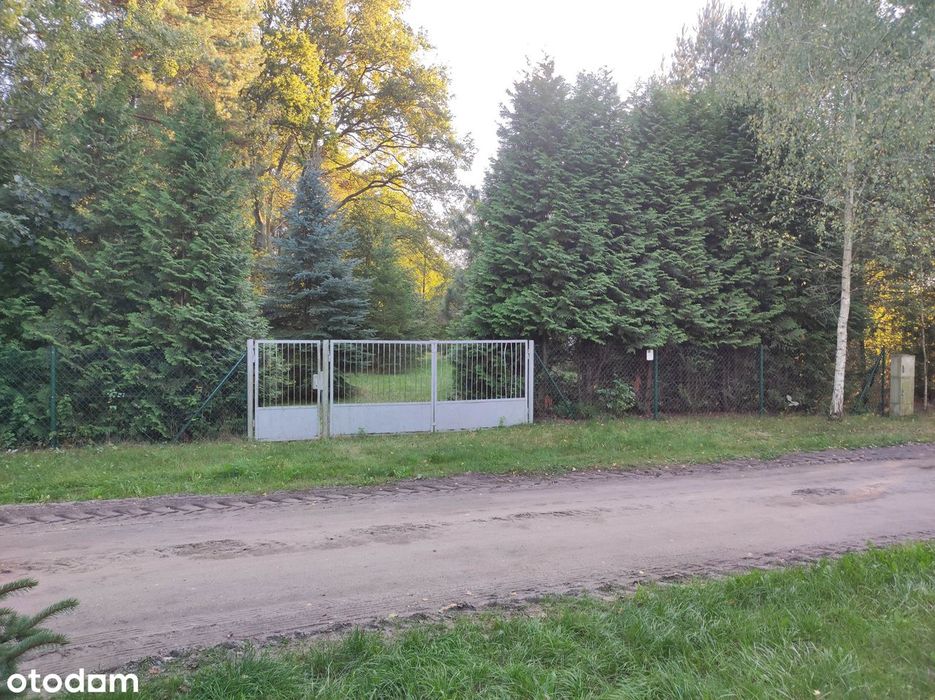 Madaje Stare pod lasem WZ na 2 domy jednorodzinne woda prąd