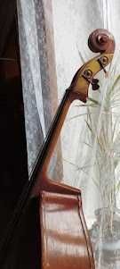 Контробас в хорошому стані