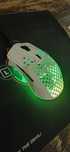 Gamer mouse steelseries