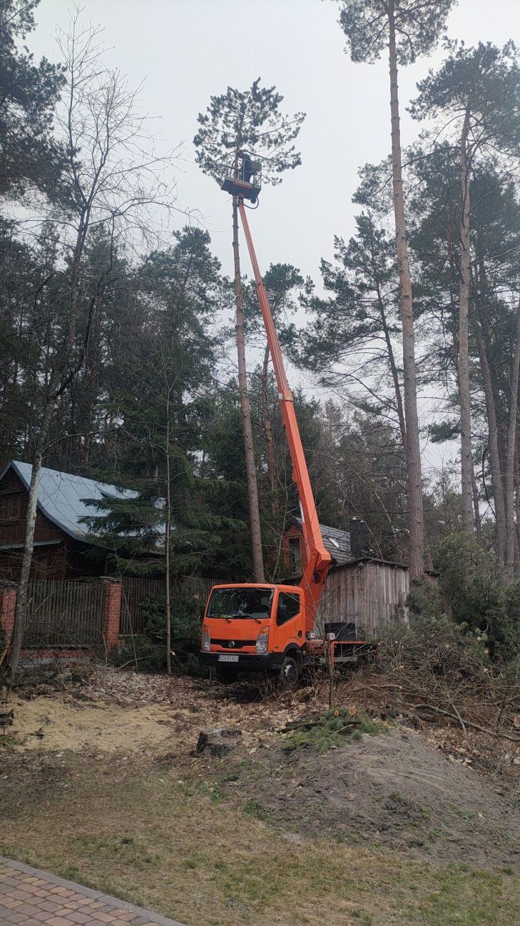 Wycinka drzew, usługi podnośnikiem koszowym 21m zwyżka