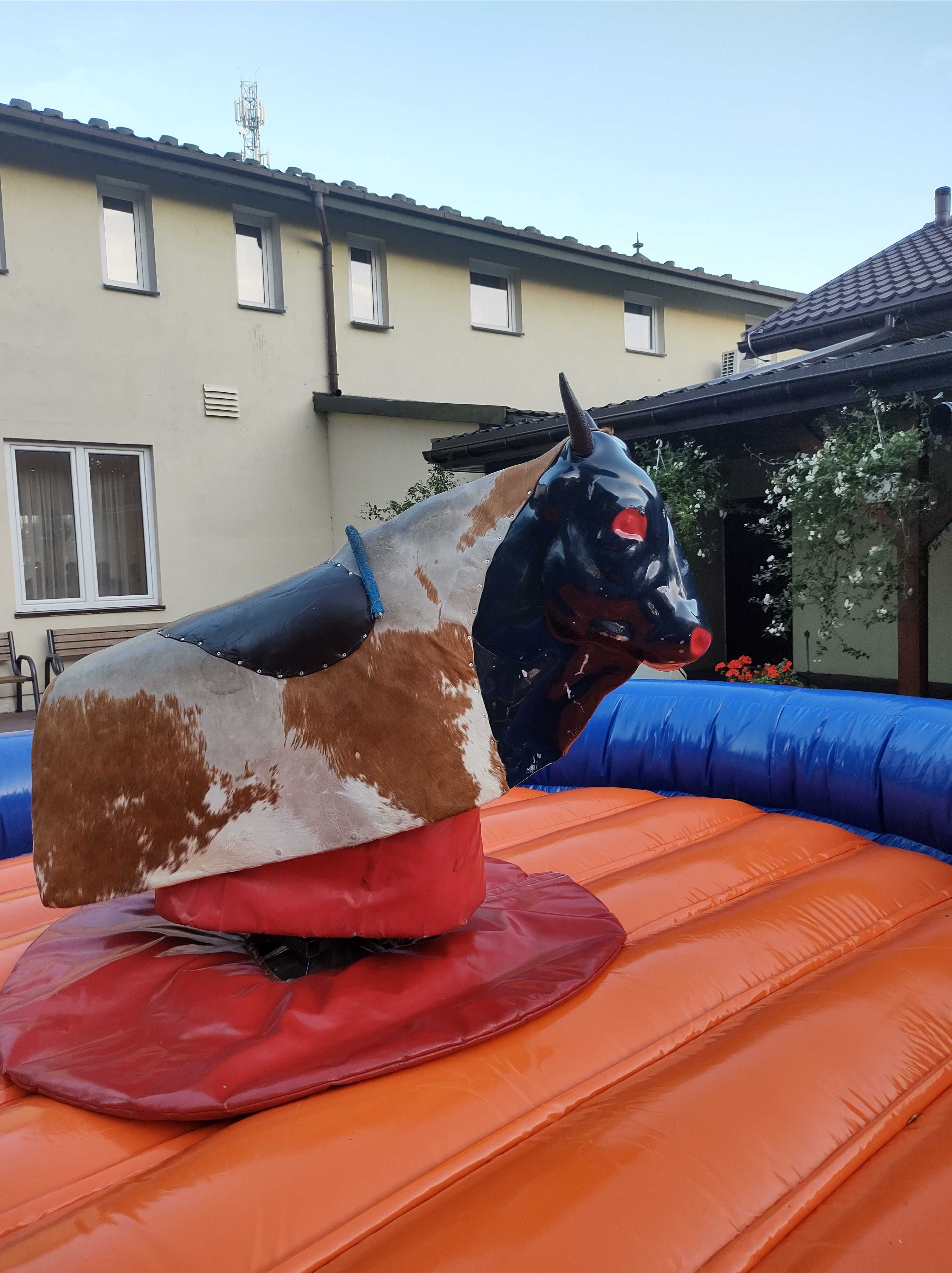 Byk Rodeo z dmuchaną areną