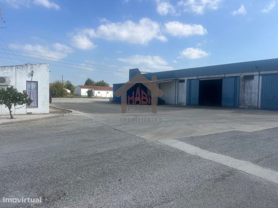 Excelente Armazém No Porto Alto
