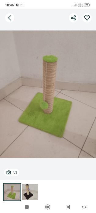 Arranhadores.   gatinhos Novos