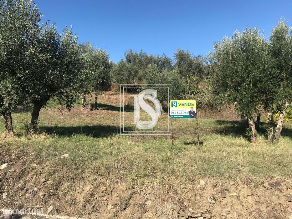 Terreno Com Projecto Aprovado - Sardoal (Azinhaga da Dabada)