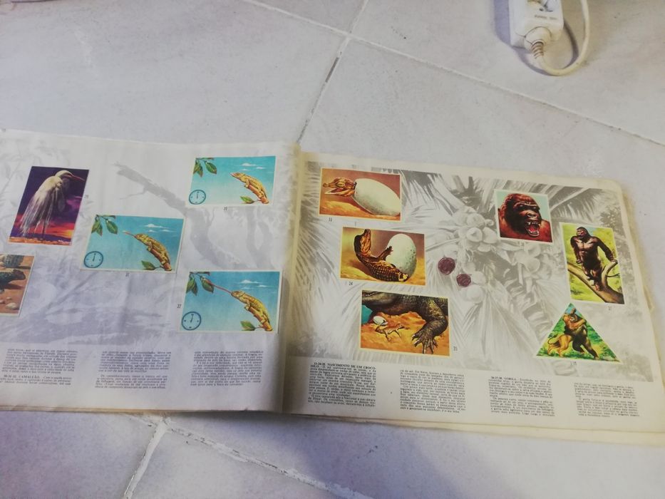 Caderneta de cromos antiga