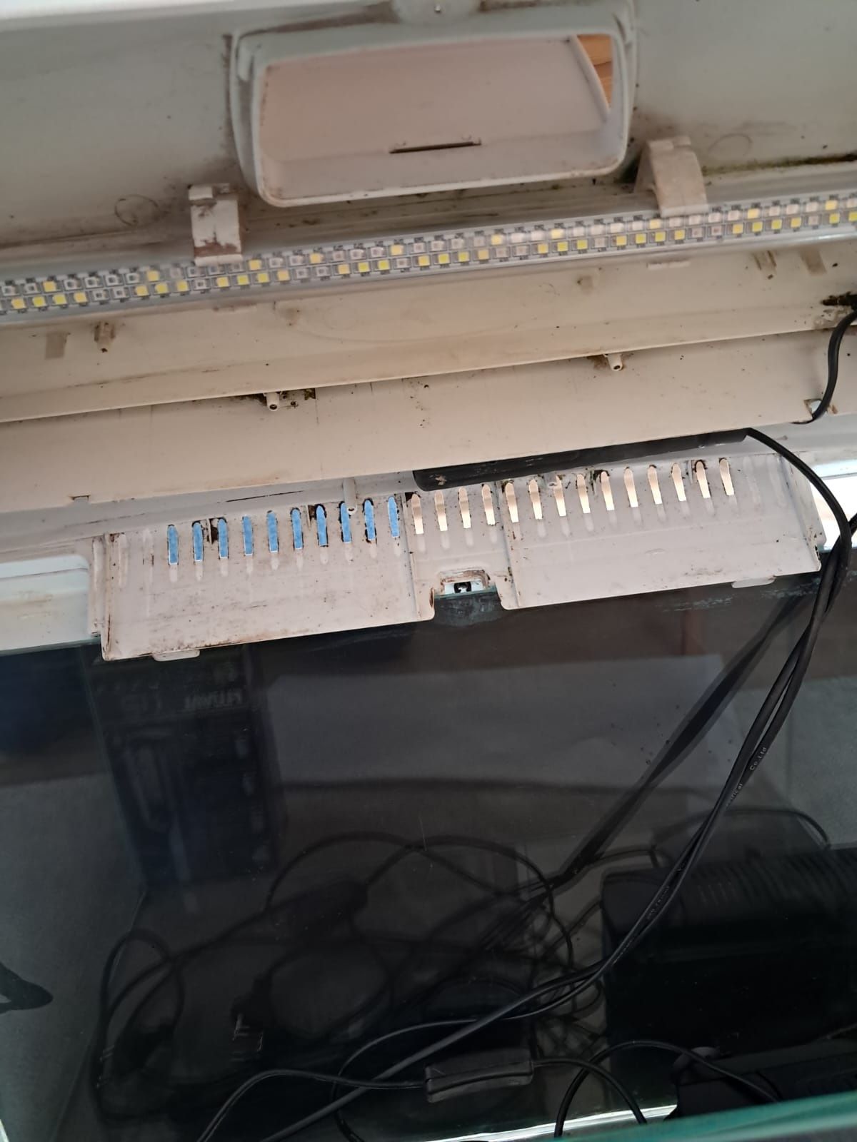 Akwarium 60l Optiwhite