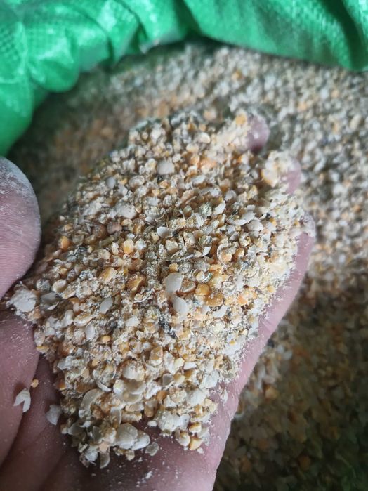 Pasza dla zwierząt - groch