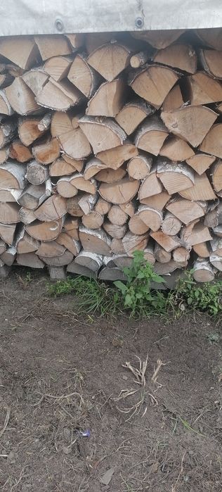 Drzewo kominkowe łupane brzozowe