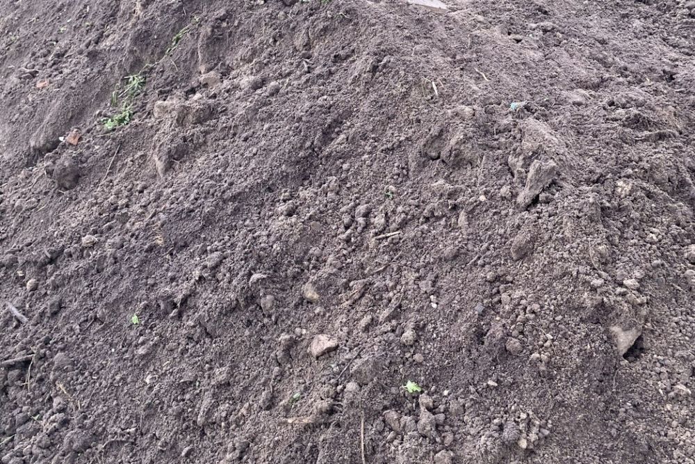 Przyjmę ziemie piasek / SIENNICA