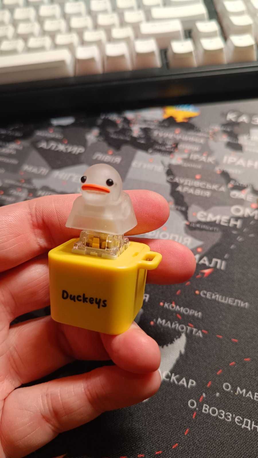 Quackey Fidget Toy Quacks фиджет антистресс игрушка брелок утка duck