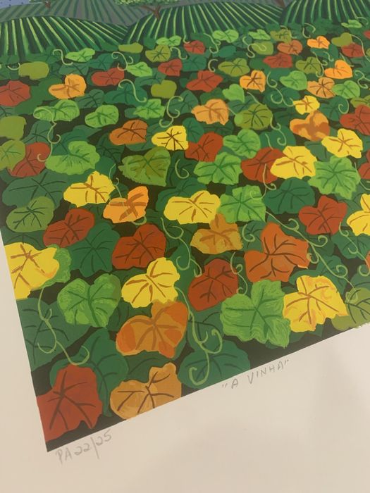 Sergrafia da Artista Edna Araraquara
