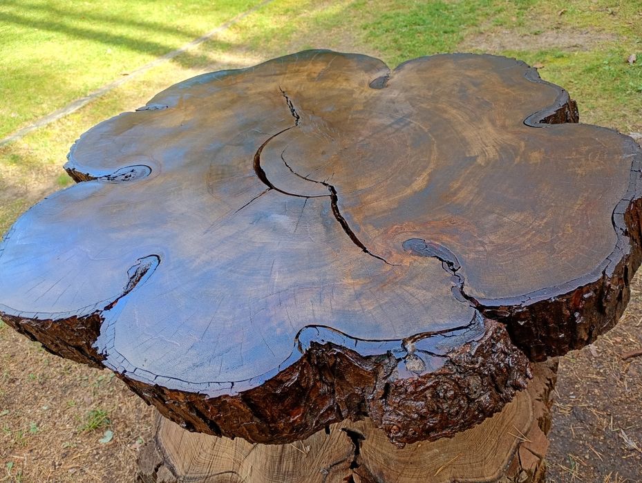 Stolik kawowy kasztanowiec śr. 90 cm gr.7 cm