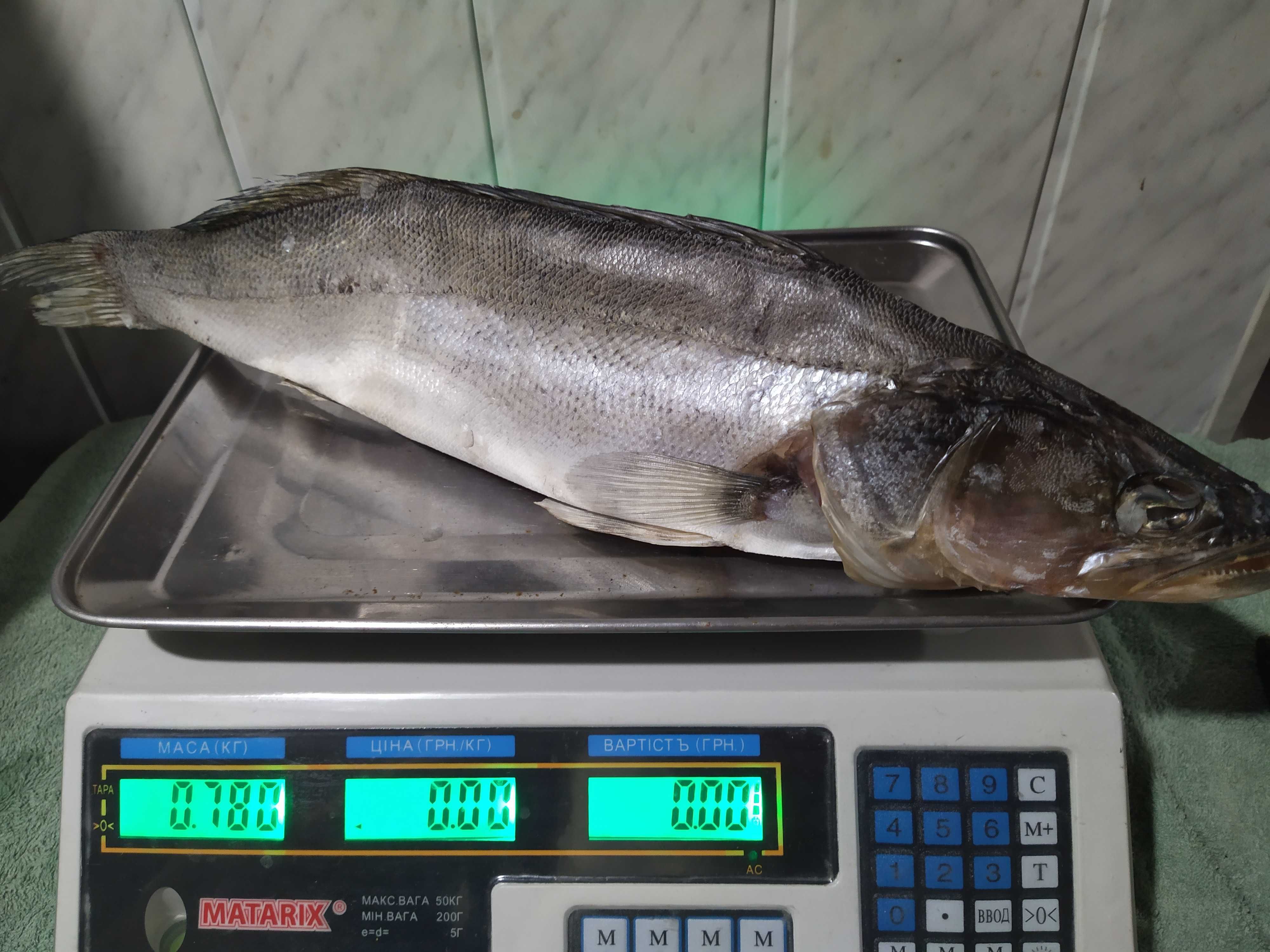 Сушена риба (щука, лящ, таранка, густера, судак, окунь, карась)