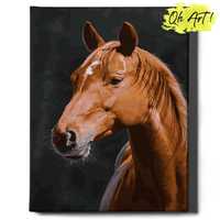 Malowanie po numerach, 40x50 cm - Koń brązowy / Oh-Art