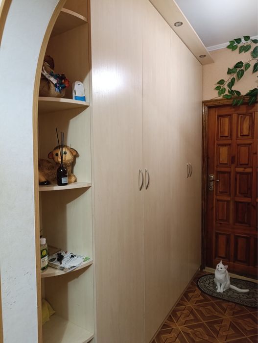 Шафа в прихожу велика.