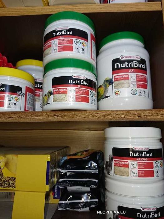 Versele-laga Nutri Bird A21 do ręcznego dokarmiania piskląt