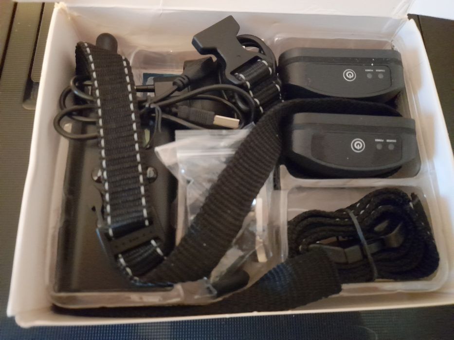 Trela de treinamento