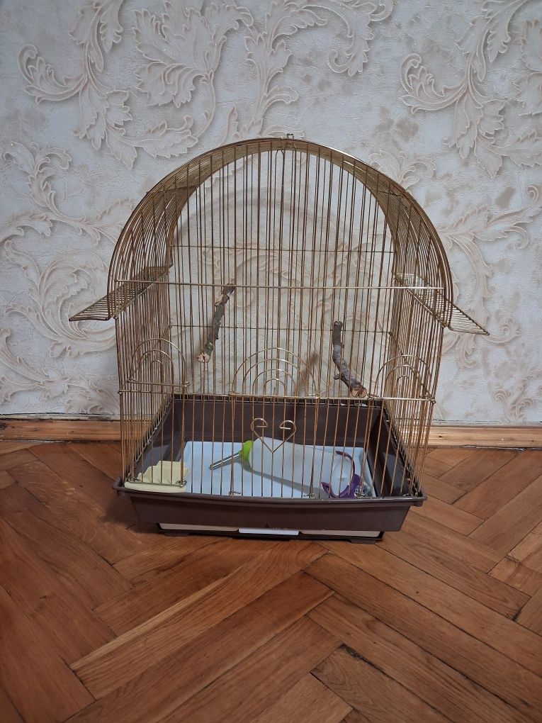 Клітка для птиці