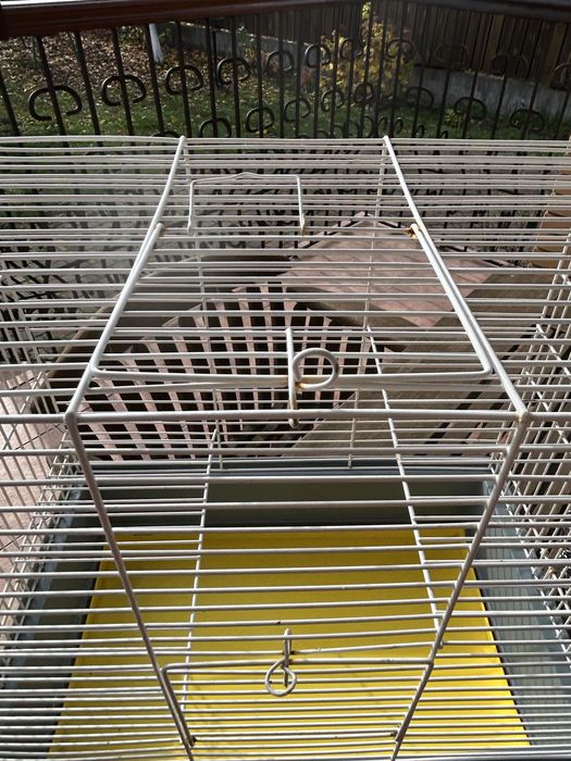 Продам клітку для гризунів Природа «Гоша»