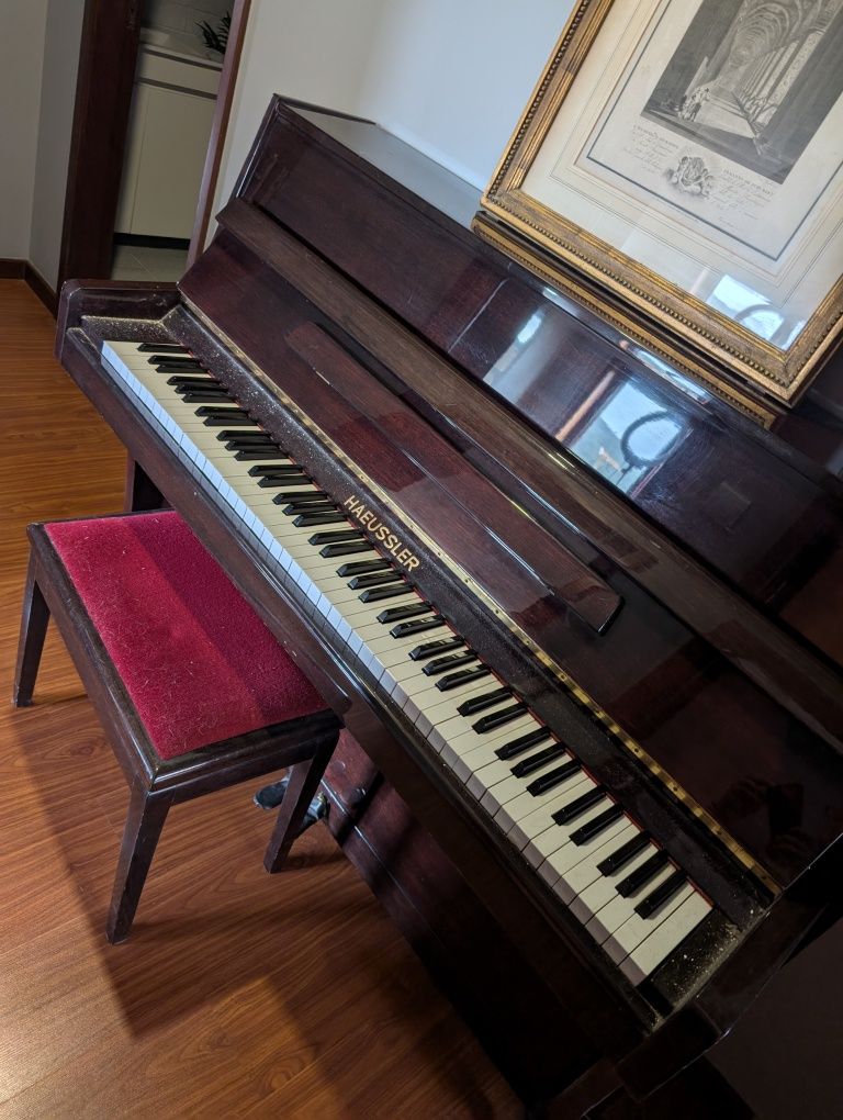 Piano parado há anos marca Haeussler
