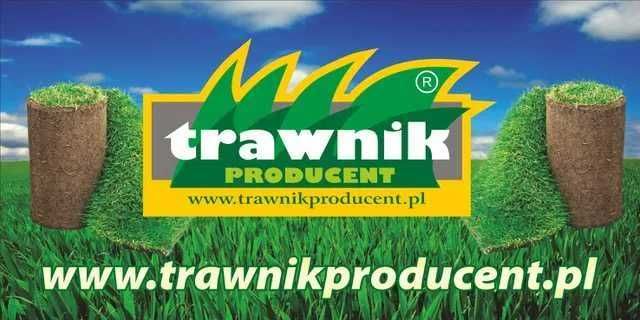 Trawnik z rolki Ogrodowo Sportowy/ Trawa / Prosto z plantacji
