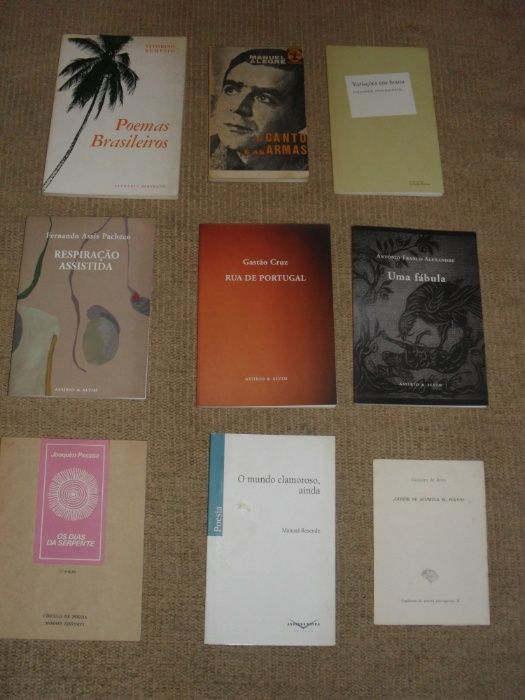 Lote Livros de Poesia Portuguesa (13 livros)