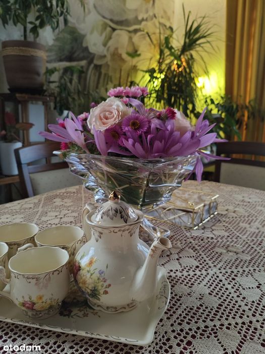 Miszkanie Elbląg Modrzewina