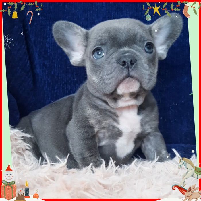 Грайливий хлопчина