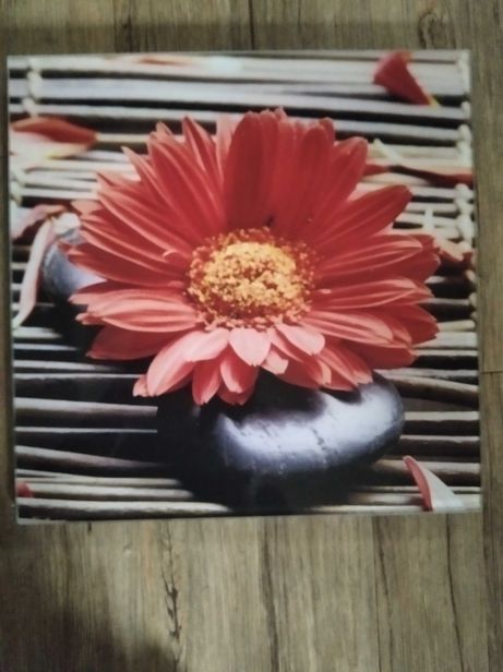 Obraz, kwiat, szklany, 30x30