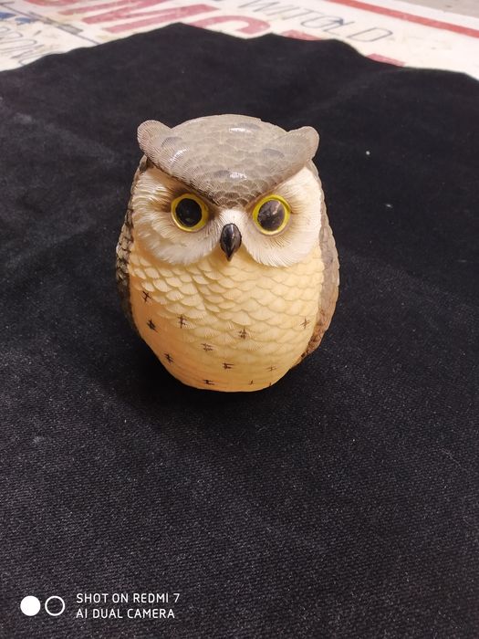 Skarbonka sowa piekna