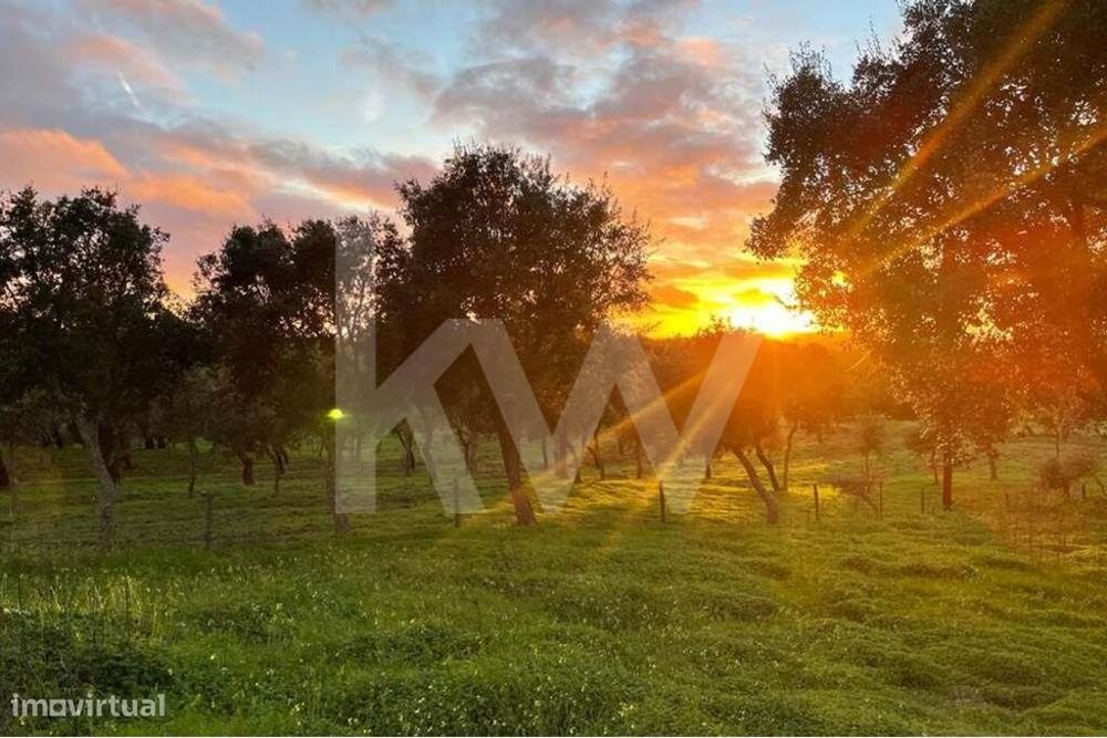 Terreno Urbanizável com 13 hectares em Santiago do Cacém