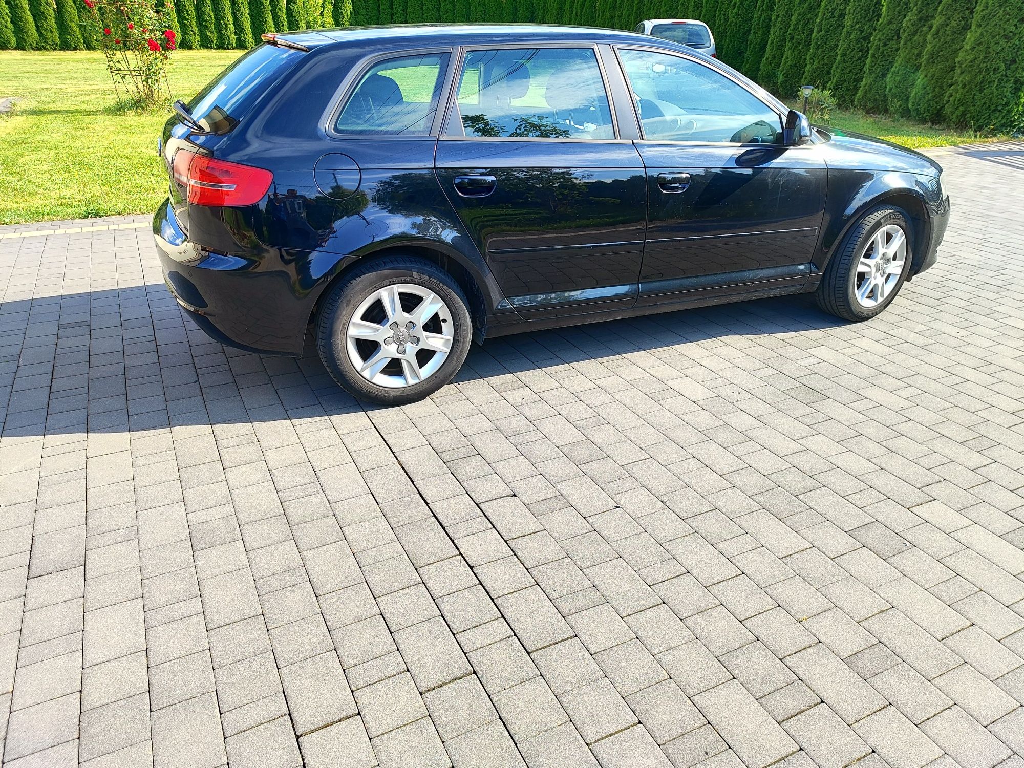 Audi a3 8p 1.9 TDI