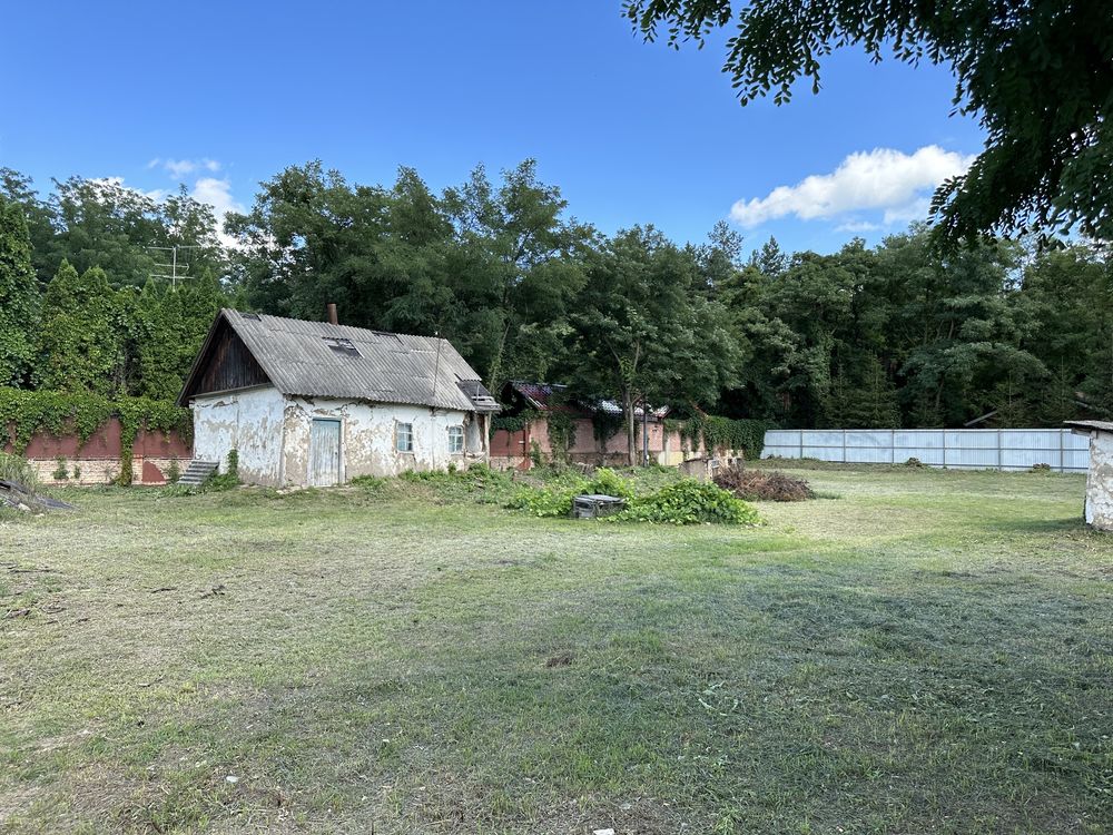 Продам зем.ділянку в с.Процев ( 28 соток, ліс)