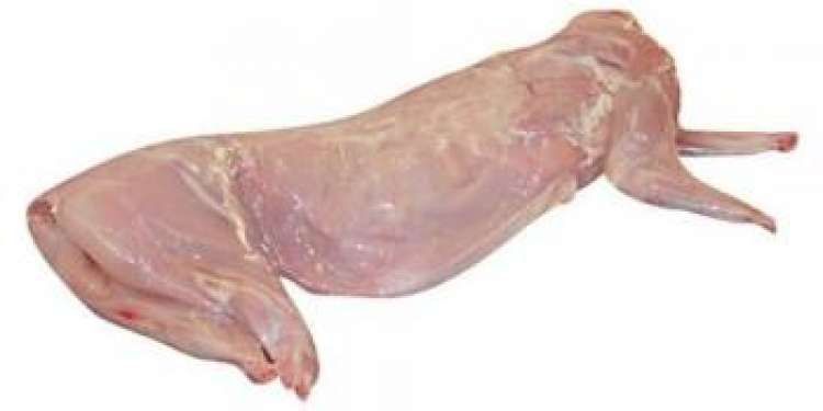 М'ясо домашнього кролика