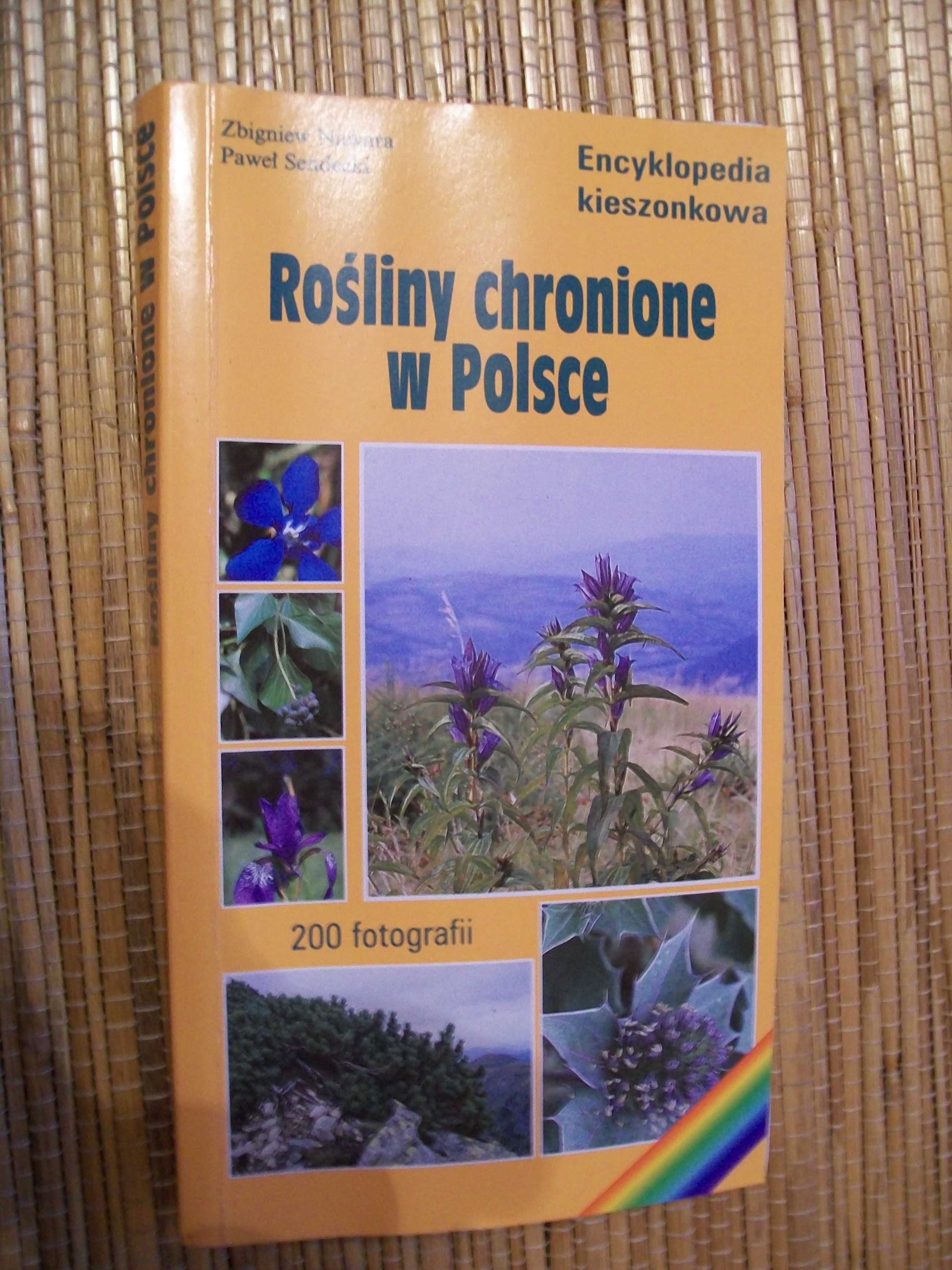 Rośliny chronione w Polsce.