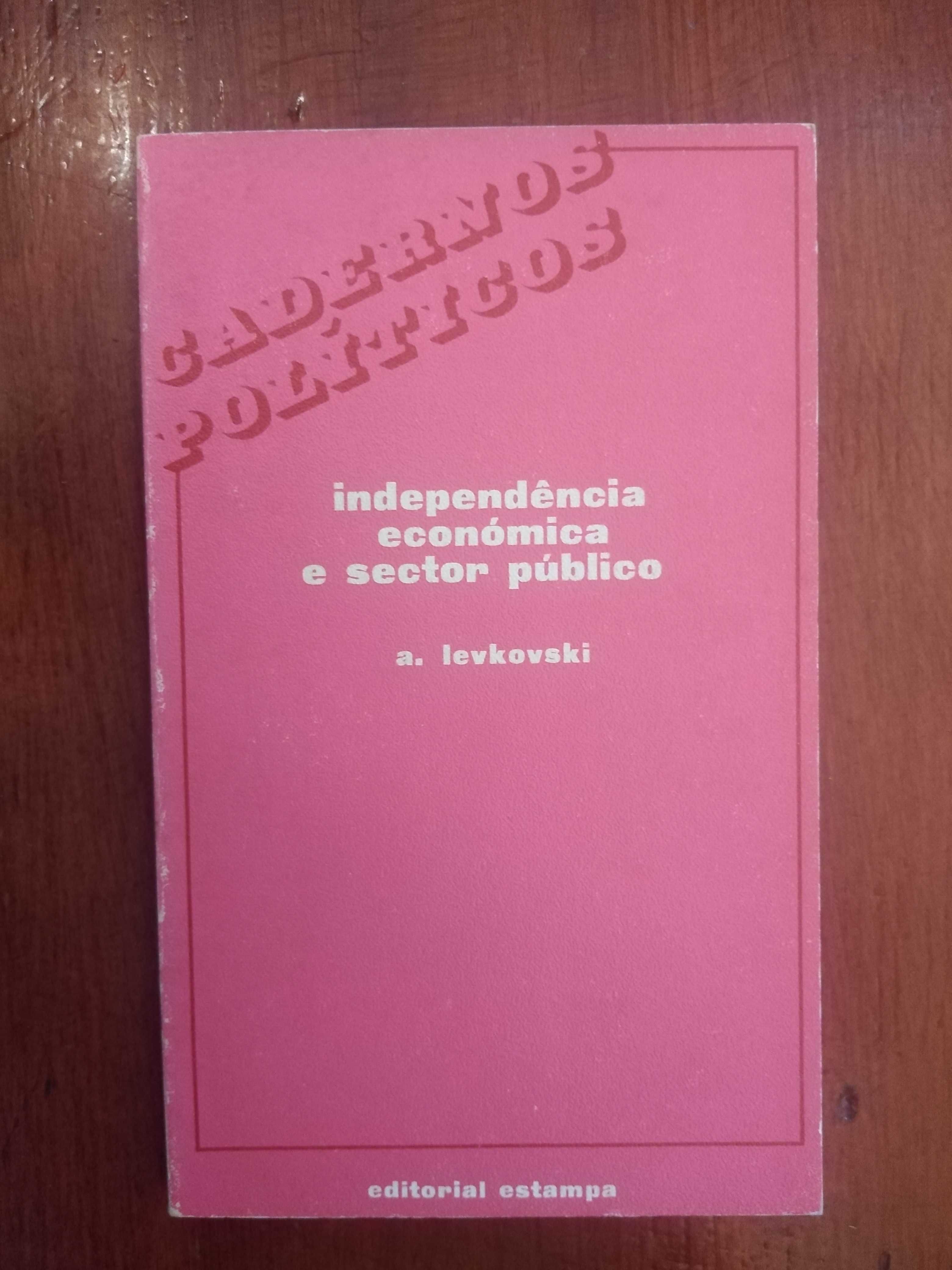 A. Levkovski - Independência económica e sector público