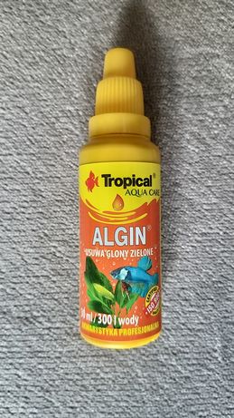 Algin na glony w akwarium