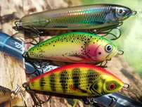 Salmo Fatso 10 oraz Sweeper 14