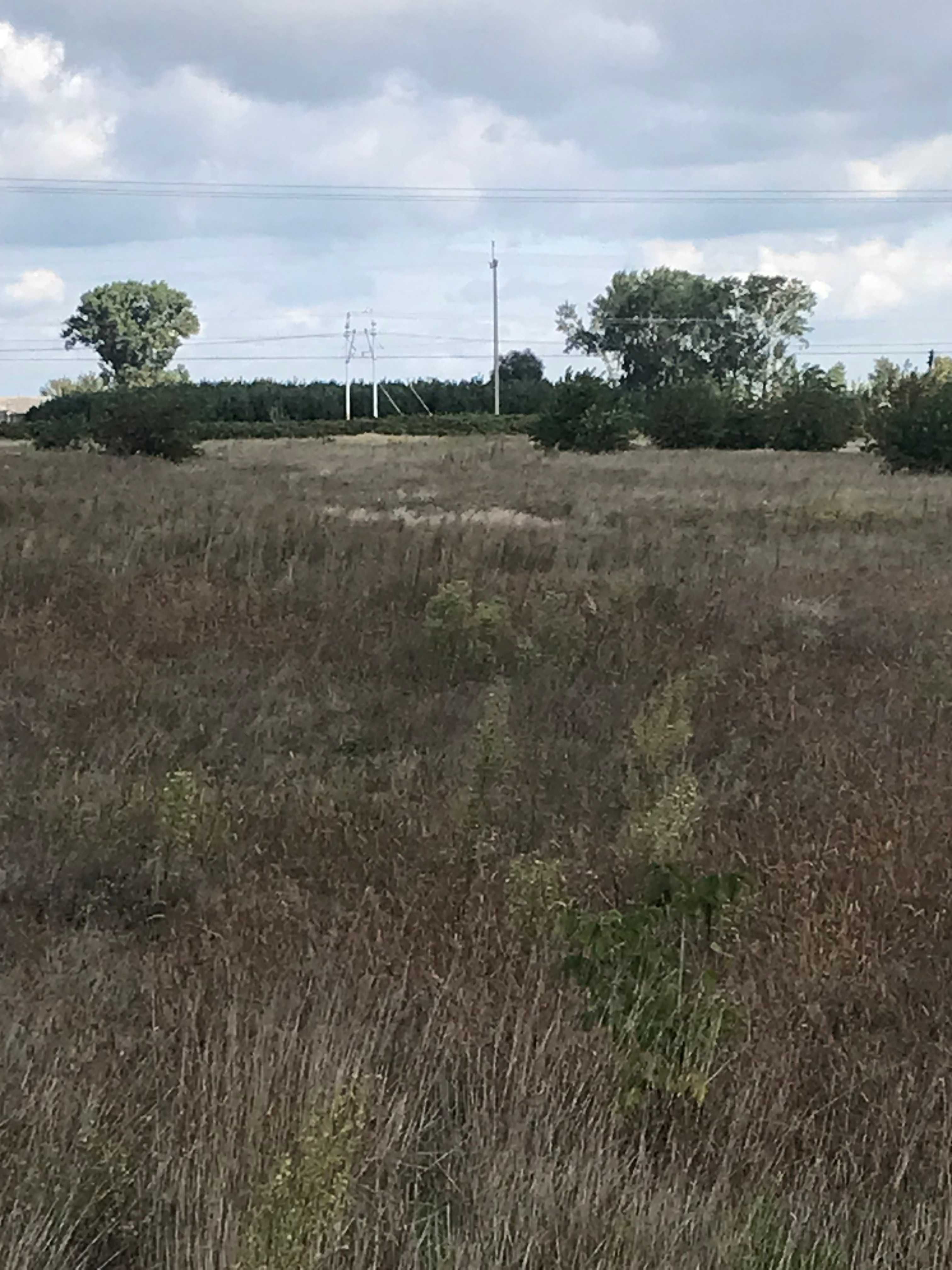 Działka rolno-budowlana 2,5 ha