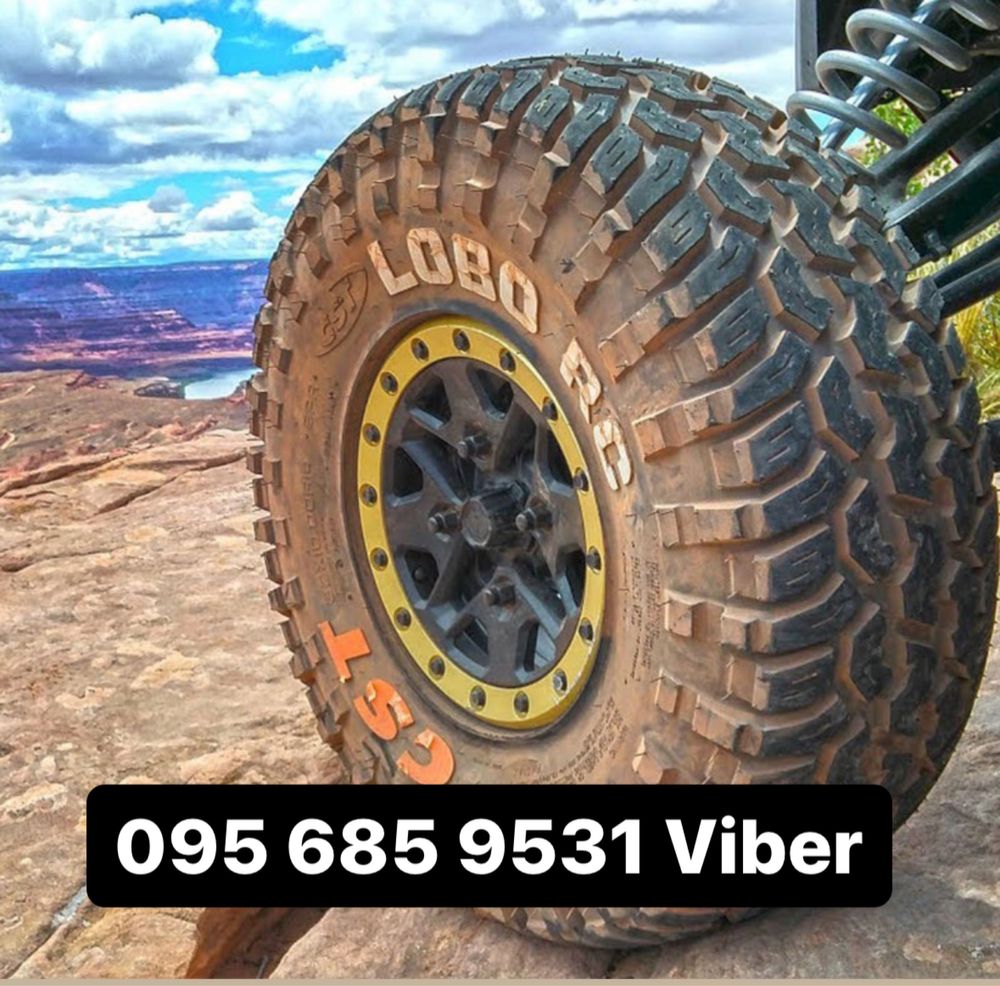 Шини для багі багги CST LOBO 30x10R14 (CST=Maxxis)