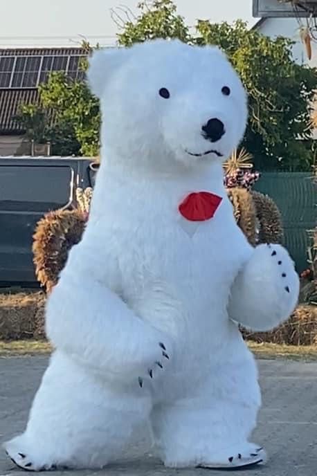 Biały Miś Żartowniś / Panda Wanda / Pikachu