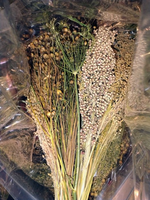 Zestaw kłosów 250g