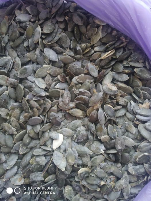 Продам семочки гарбуза