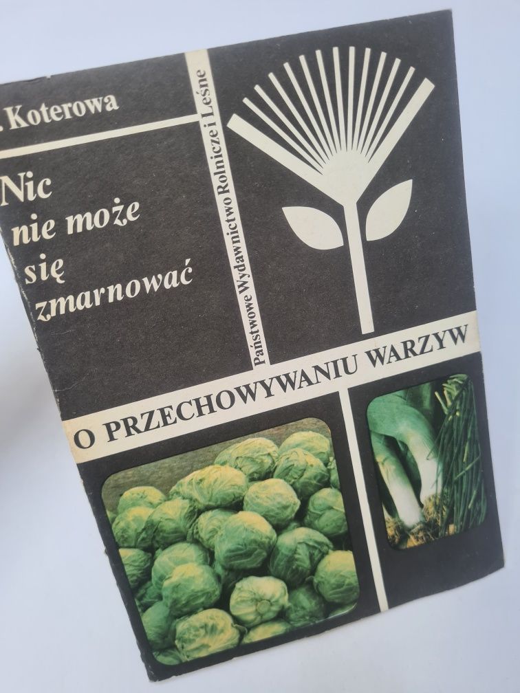 Nic nie może się zmarnować. O przechowywaniu warzyw - Danuta Koterowa