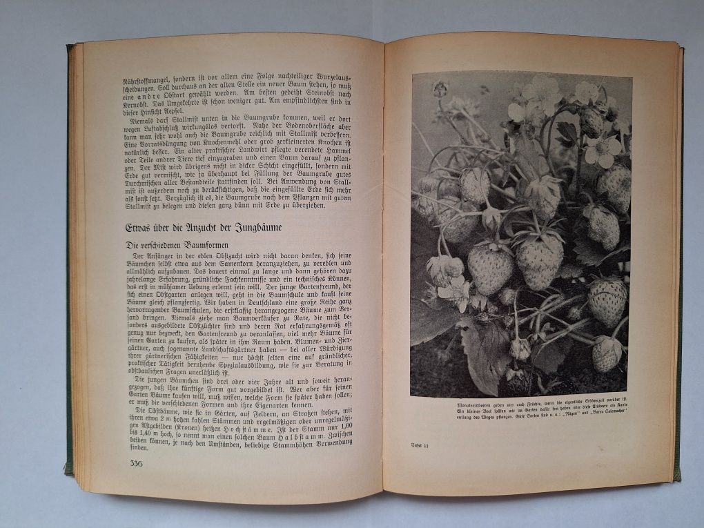 Gartenbuch fuer Anfaenger von J. Boettner