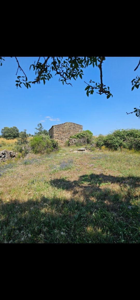 Terreno com 2 casas e outro lameiro