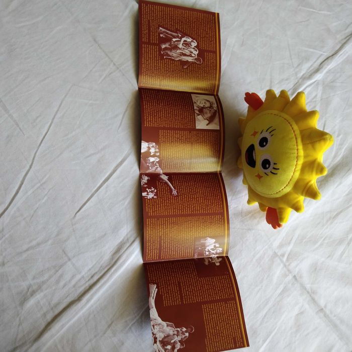 Film - musical , Hair - płyta Cd i maskotka .