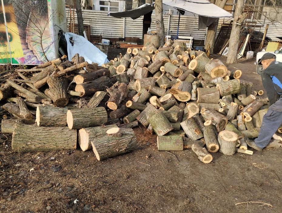 Продам дрова в наличии