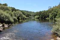 Quinta idílica com 5 ha junto do rio Mondego, Fiais da Beira, OHP